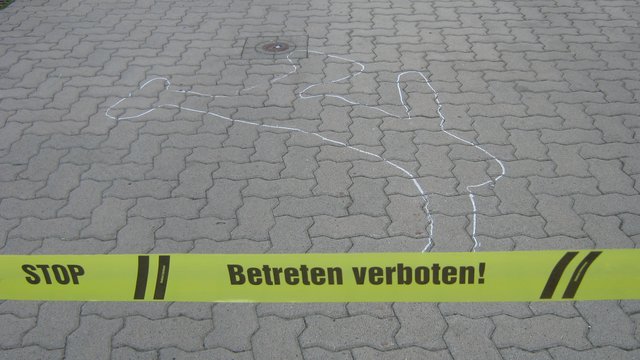 Bild
